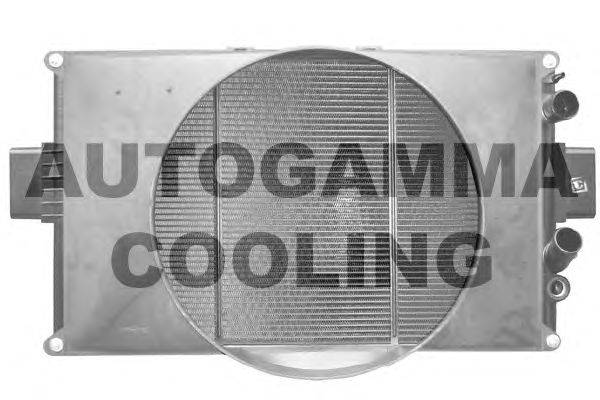 Радиатор, охлаждение двигателя AUTOGAMMA 300768