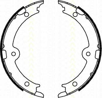 Комплект тормозных колодок, стояночная тормозная система TRISCAN 8100 13045