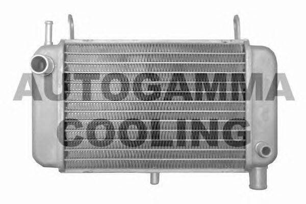 Радиатор, охлаждение двигателя AUTOGAMMA 103868