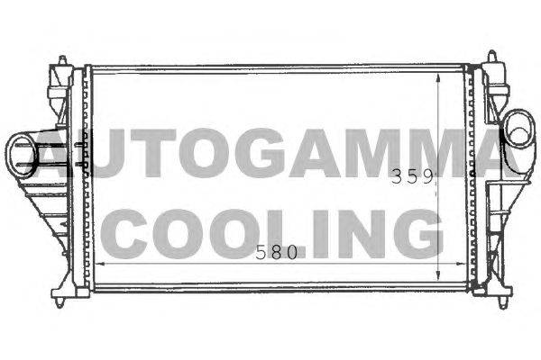 Интеркулер AUTOGAMMA 101492