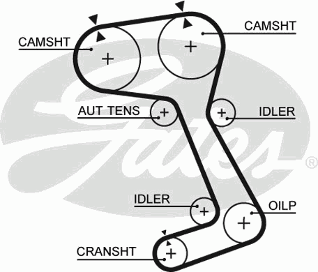 Ремень ГРМ GATES 5364XS
