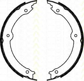 Комплект тормозных колодок, стояночная тормозная система TRISCAN 8100 13046
