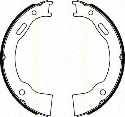 Комплект тормозных колодок, стояночная тормозная система TRISCAN 8100 80014