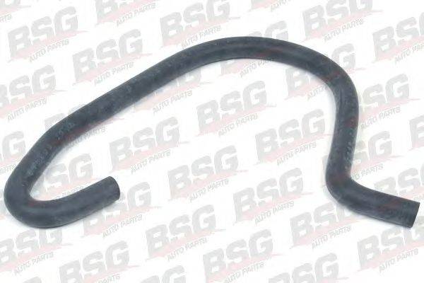 Шланг, теплообменник - отопление BSG 30720043