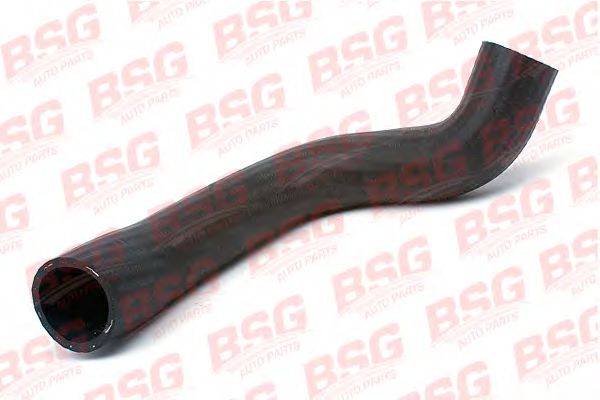 Шланг радиатора BSG 30720014