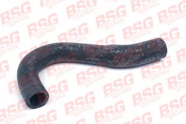 Шланг для удаления воздуха, компенсационный бак BSG 30720042