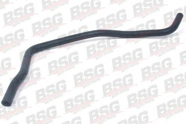 Шланг BSG 30720050
