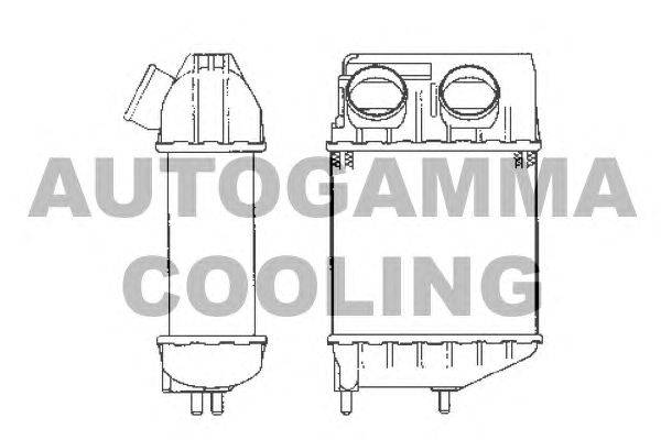 Интеркулер AUTOGAMMA 101954