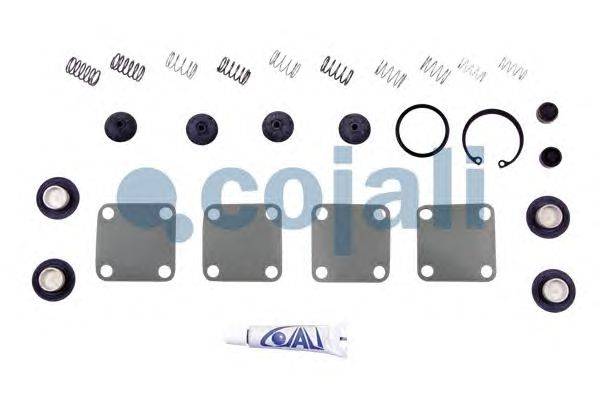 Ремкомплект COJALI 6012002