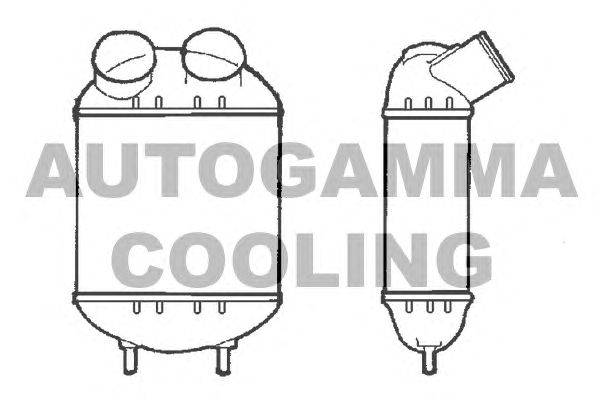 Интеркулер AUTOGAMMA 101476