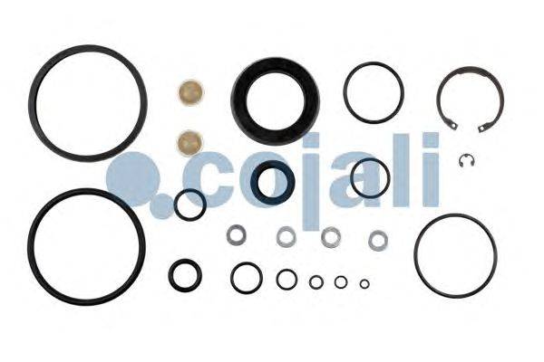 Ремкомплект COJALI 6012092
