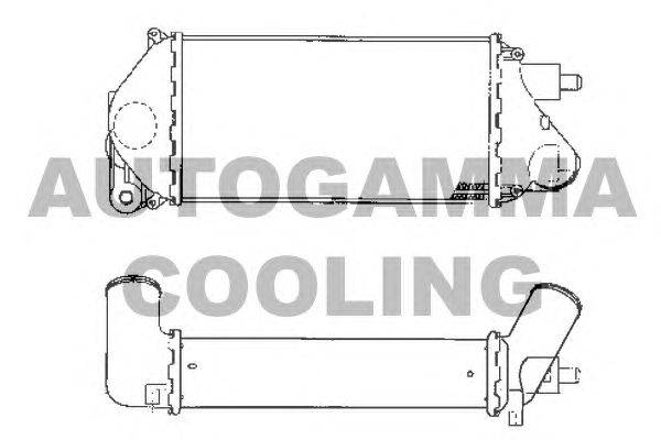 Интеркулер AUTOGAMMA 101907