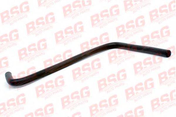 Шланг BSG 30720019