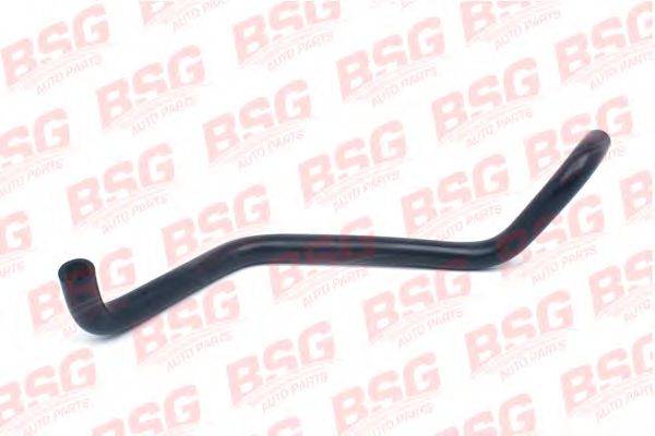 Масляный шланг BSG 30720037