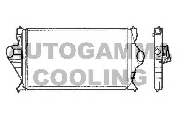 Интеркулер AUTOGAMMA 101478
