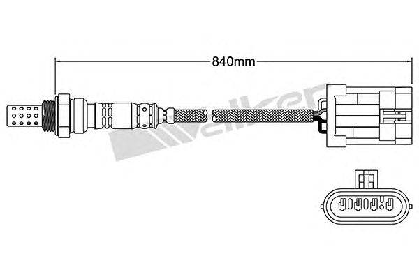 Лямбда-зонд WALKER PRODUCTS 250-24406