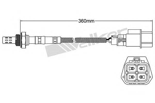 Лямбда-зонд WALKER PRODUCTS 250-24434