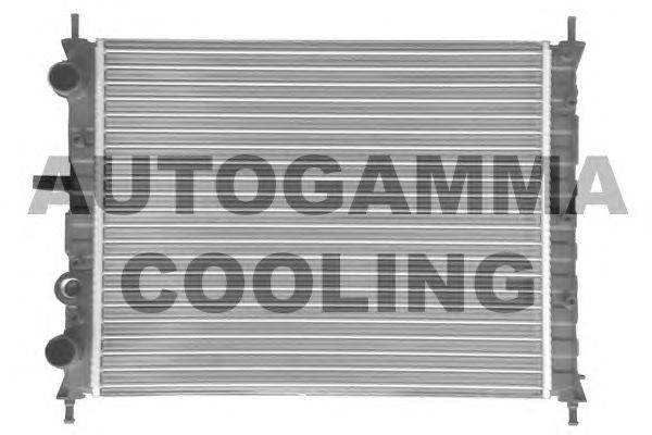 Радиатор, охлаждение двигателя AUTOGAMMA 100260