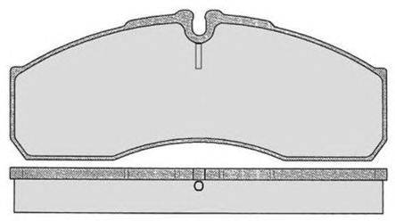 Комплект тормозных колодок, дисковый тормоз RAICAM 29161