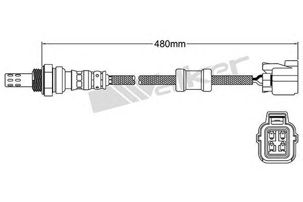 Лямбда-зонд WALKER PRODUCTS 250-24343