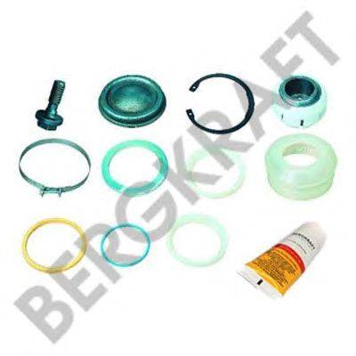 ремонтный комплект, рычаг подвески; Ремкомплект, центральный шарнир - треугольный рычаг BERGKRAFT BK2883321SP