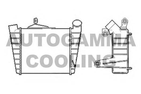 Интеркулер AUTOGAMMA 105191