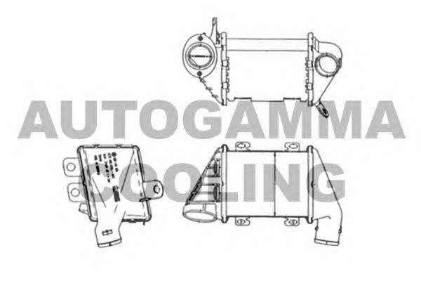 Интеркулер AUTOGAMMA 103950