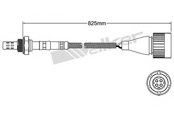 Лямбда-зонд WALKER PRODUCTS 250-24025