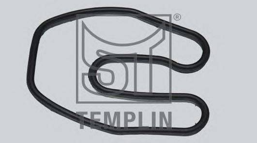 Прокладка, крышка головки цилиндра TEMPLIN 08.250.3003.430