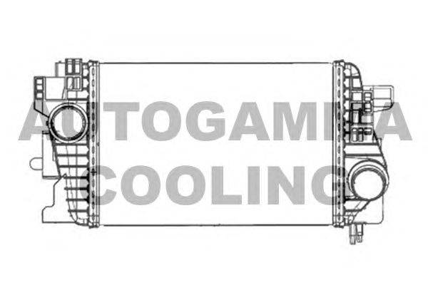 Интеркулер AUTOGAMMA 105631