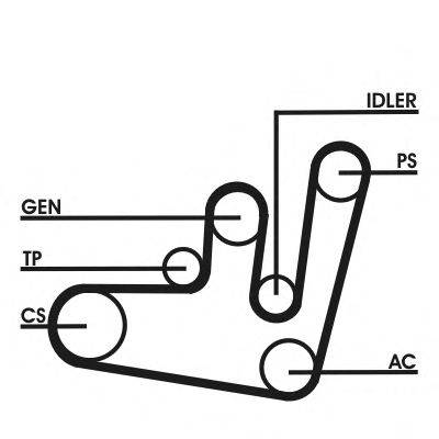 Поликлиновой ременный комплект AUDI 03G105243