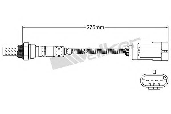 Лямбда-зонд WALKER PRODUCTS 25024781