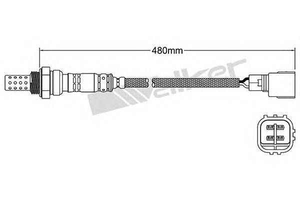 Лямбда-зонд WALKER PRODUCTS 250-24305