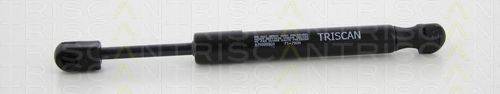 Газовая пружина, заднее стекло TRISCAN 8710 20205