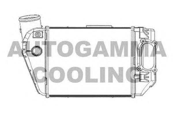 Интеркулер AUTOGAMMA 103774