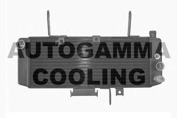 Радиатор, охлаждение двигателя AUTOGAMMA 104343