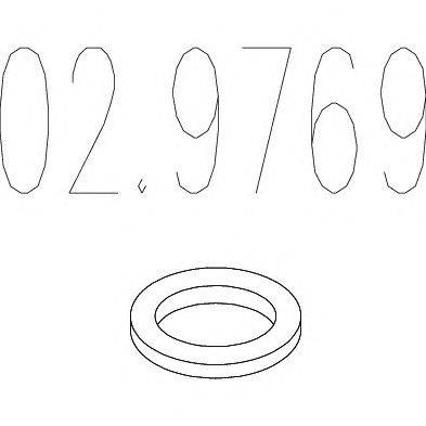 Уплотнительное кольцо, труба выхлопного газа MTS 02.9769