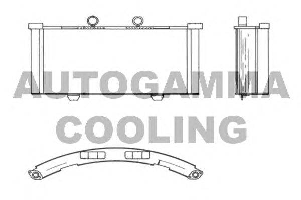 Радиатор, охлаждение двигателя AUTOGAMMA 103979