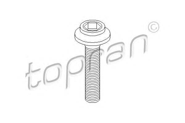 Болт, фланец карданного вала TOPRAN 108 139