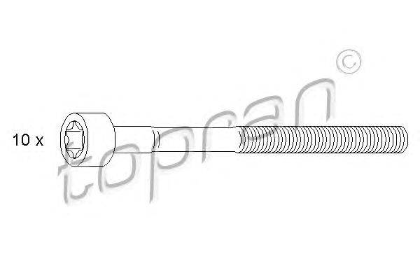 Комплект болтов головки цилидра TOPRAN 300544