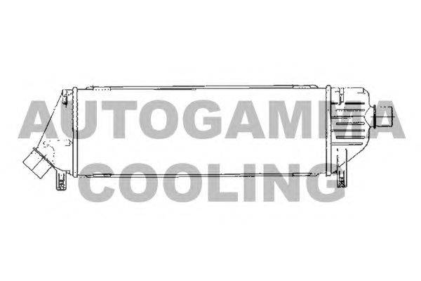 Интеркулер AUTOGAMMA 103761