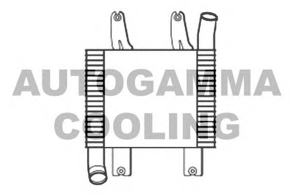 Интеркулер AUTOGAMMA 107071