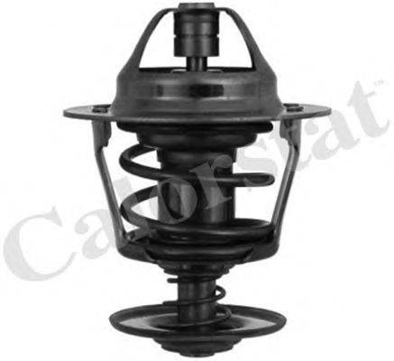 Термостат, охлаждающая жидкость CALORSTAT by Vernet TH3348.83