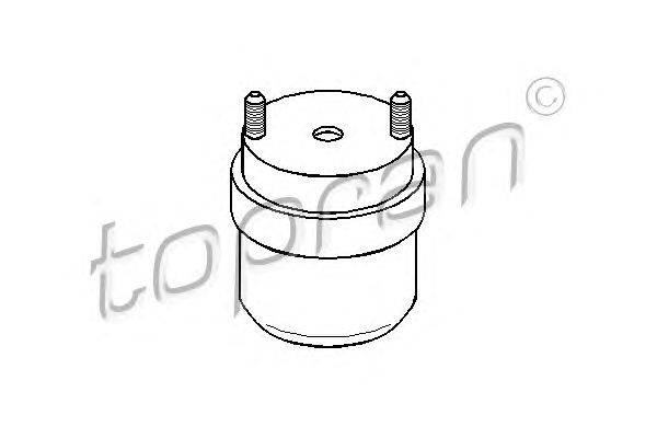 Подвеска, двигатель TOPRAN 107976