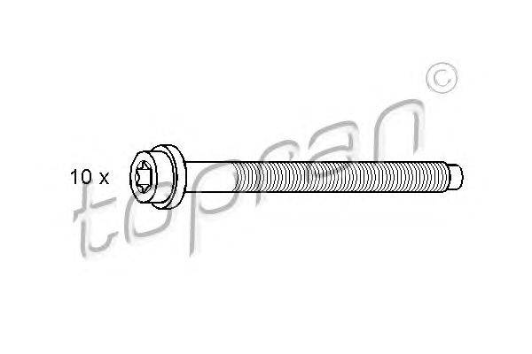 Комплект болтов головки цилидра TOPRAN 301963