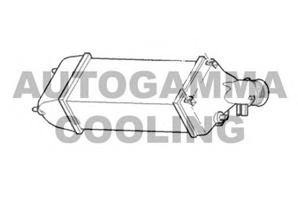 Интеркулер AUTOGAMMA 104962