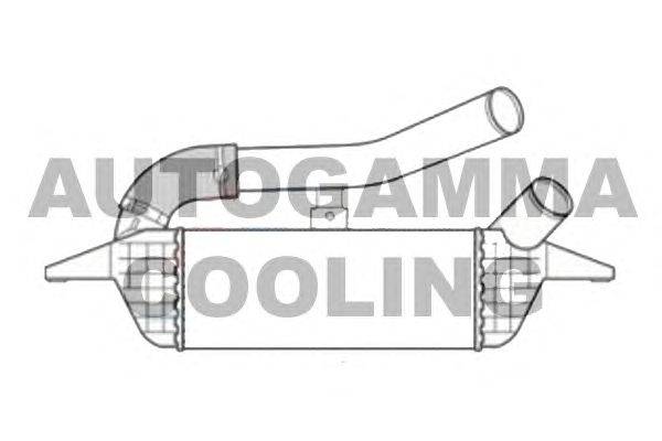 Интеркулер AUTOGAMMA 107070