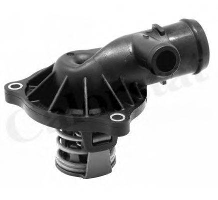 Термостат, охлаждающая жидкость CALORSTAT by Vernet TH7174.95J