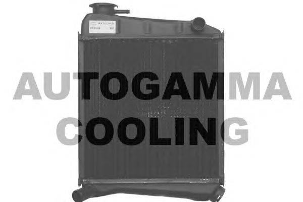 Радиатор, охлаждение двигателя AUTOGAMMA 101117