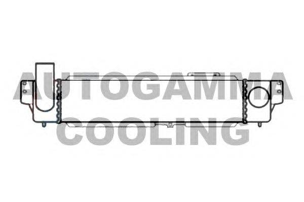 Интеркулер AUTOGAMMA 107073
